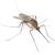 Costa Mesa Mosquitoes & Ticks by Scotty's Termite and Pest Control