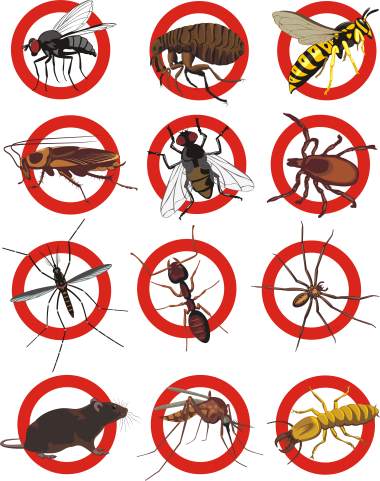 Pest control services by Scotty's Termite and Pest Control